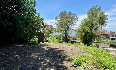 TANAH LANGKAH DAN STARTEGIS KAWASAN DI CARGO DENPASAR BARAT GOOD LOCATION