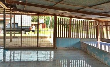 F1-0072 ขายบ้านครึ่งตึกครึ่งไม้ ตำบลดงเสือเหลือง อำเภอโพธิ์ประทับช้าง พิจิตร (โปรโมชั่นจนถึงวันที่ 30 มิถุนายน 2569)