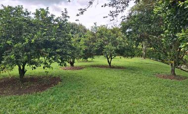 Renta casa campestre