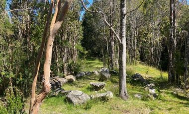 Cabaña en tranquilo entorno. Completamente equipada. Castro.