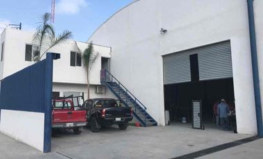 BODEGA RENTA SALINAS VICTORIA