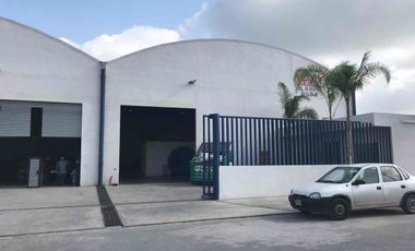 BODEGA RENTA SALINAS VICTORIA