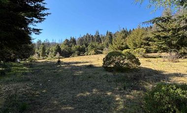 Lote residencial en venta, en el bosque, rodeado de naturaleza, a 15 minutos de Real del Monte.