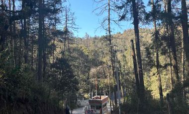 Lote residencial en venta, en el bosque, rodeado de naturaleza, a 15 minutos de Real del Monte.
