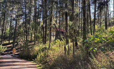 Lote residencial en venta, en el bosque, rodeado de naturaleza, a 15 minutos de Real del Monte.