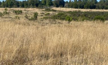 Vende parcela soleada, sector Ilque, Puerto Montt.