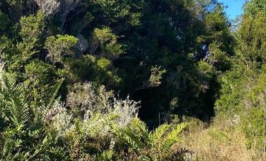 Vende parcela soleada, sector Ilque, Puerto Montt.