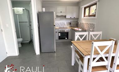 Arriendo de Cabaña Nueva en Curiñanco – Costa Valdivia | 2 Dormitorios, Amoblada