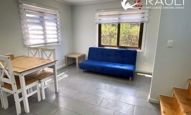 Arriendo de Cabaña Nueva en Curiñanco – Costa Valdivia | 2 Dormitorios, Amoblada