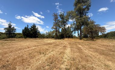 Se Vende Parcela en Consolidado Condominio Santa Inés de Paillaco, Región de Los Ríos.