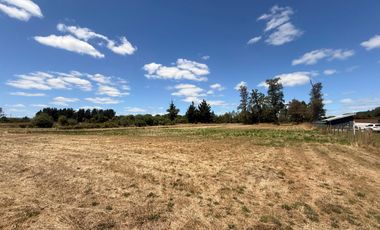 Se Vende Parcela en Consolidado Condominio Santa Inés de Paillaco, Región de Los Ríos.