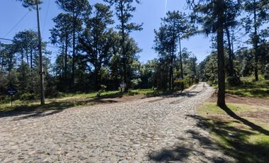 Cabaña en Venta – Huasca de Ocampo, Hidalgo. cuenta con 6,270 de terreno.
