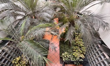 VENTA | DUPLEX | SURCO | 2 TERRAZAS | 1 BALCÓN | 3 DORMITORIOS | 2 COCHERAS | 1 DEPÓSITO