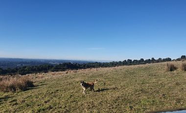 Nueva etapa Condominio Pid Pid. Precio Lanzamiento. Castro