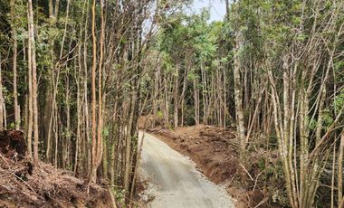 Nueva etapa Condominio Pid Pid. Precio Lanzamiento. Castro