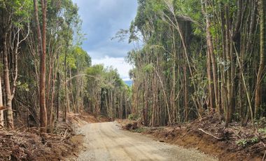 Nueva etapa Condominio Pid Pid. Precio Lanzamiento. Castro