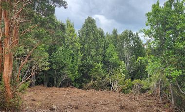 Nueva etapa Condominio Pid Pid. Precio Lanzamiento. Castro