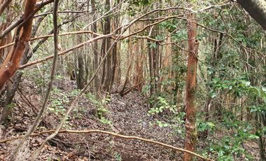 Nueva etapa Condominio Pid Pid. Precio Lanzamiento. Castro