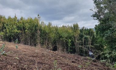 Nueva etapa Condominio Pid Pid. Precio Lanzamiento. Castro