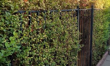 Arriendo casa Lo Barnechea Cerro Norte