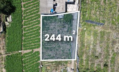 VENDO LOTE DE 244 M2 EN AMBATO-HUACHI GRANDE