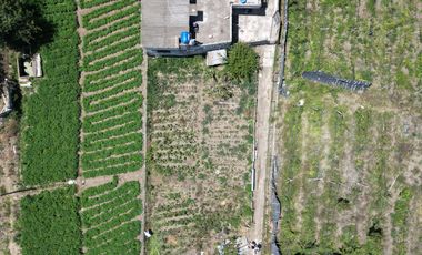 VENDO LOTE DE 244 M2 EN AMBATO-HUACHI GRANDE