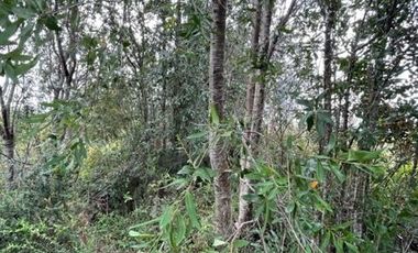 ¡OPORTUNIDAD! Vende Parcela sector Río Bajo, Terrazas de Neoalerce, Puerto Montt.