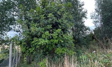 ¡OPORTUNIDAD! Vende Parcela sector Río Bajo, Terrazas de Neoalerce, Puerto Montt.