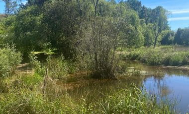 Parcela con casa Condominio Patagual $ 120.000.000.