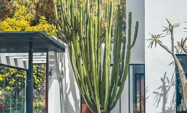 CASA EN VENTA CON RECÁMARAS EN PLANTA BAJA Y AMPLIO JARDÍN EN CALZADA ZAVALETA