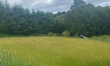 Parcela con  con Canbaña Condominio Patagual $ 70.000.000.