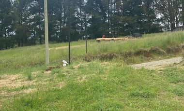 Parcela con  con Canbaña Condominio Patagual $ 70.000.000.