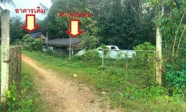 K00158 ขายบ้านเดี่ยว ตำบลวังใหม่ อำเภอป่าบอน พัทลุง