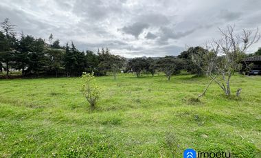 Terreno urbano en venta en Motupe Alto con todos los servicios básicos