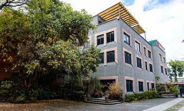 Oficinas flaxibles por Piso (300 M²) o Edificio Completo (1,200) – Contrato Flexible