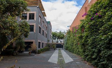 Oficinas flaxibles por Piso (300 M²) o Edificio Completo (1,200) – Contrato Flexible