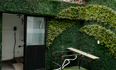 Oficinas flaxibles por Piso (300 M²) o Edificio Completo (1,200) – Contrato Flexible