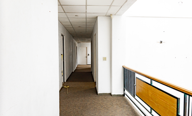 Oficinas flaxibles por Piso (300 M²) o Edificio Completo (1,200) – Contrato Flexible