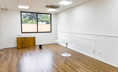 Oficinas flaxibles por Piso (300 M²) o Edificio Completo (1,200) – Contrato Flexible