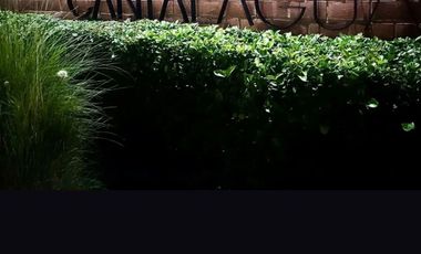 Renta de Departamento en Cantalagua, Juriquilla, en PB