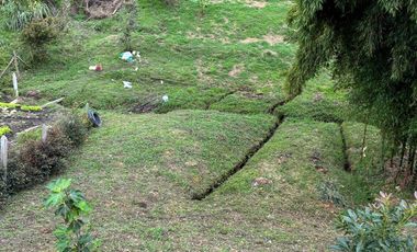 SE ARRIENDA CASA FINCA EN VEREDA ABREO. RIONEGRO