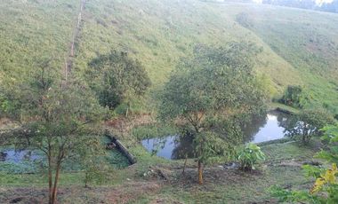 Vendo en el eje cafetero para Ecohotel o proyecto turístico  en Ulloa