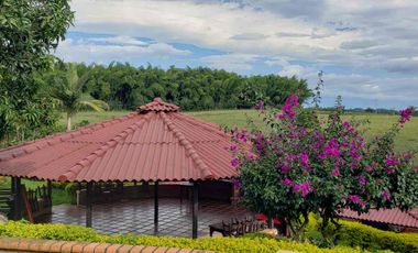 Vendo en el eje cafetero para Ecohotel o proyecto turístico  en Ulloa