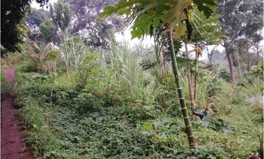 Jual Cepat Tanah dan Bangunan di Cilame Bandung Barat