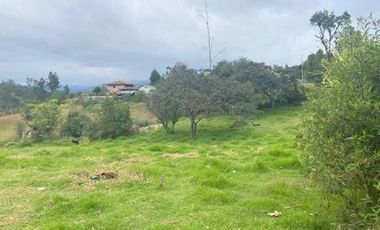 Terreno en venta 2.700m2 a 5 minutos de Challuabamba - Panamericana Norte Cuenca