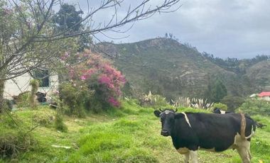 Terreno en venta 2.700m2 a 5 minutos de Challuabamba - Panamericana Norte Cuenca