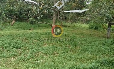 Kavling di Desa Sumber, Sukorejo