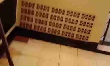 SEWA RUMAH DI RAWAMANGUN 4 KT