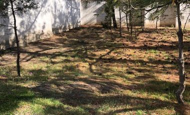 RENTA CASA MUY AMPLIA CON  JARDIN  DE  2500 M2 EN TEPOXTLA, ATLIHUETZIA CERCA APIZACO, CD JUDICIAL