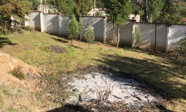 RENTA CASA MUY AMPLIA CON  JARDIN  DE  2500 M2 EN TEPOXTLA, ATLIHUETZIA CERCA APIZACO, CD JUDICIAL